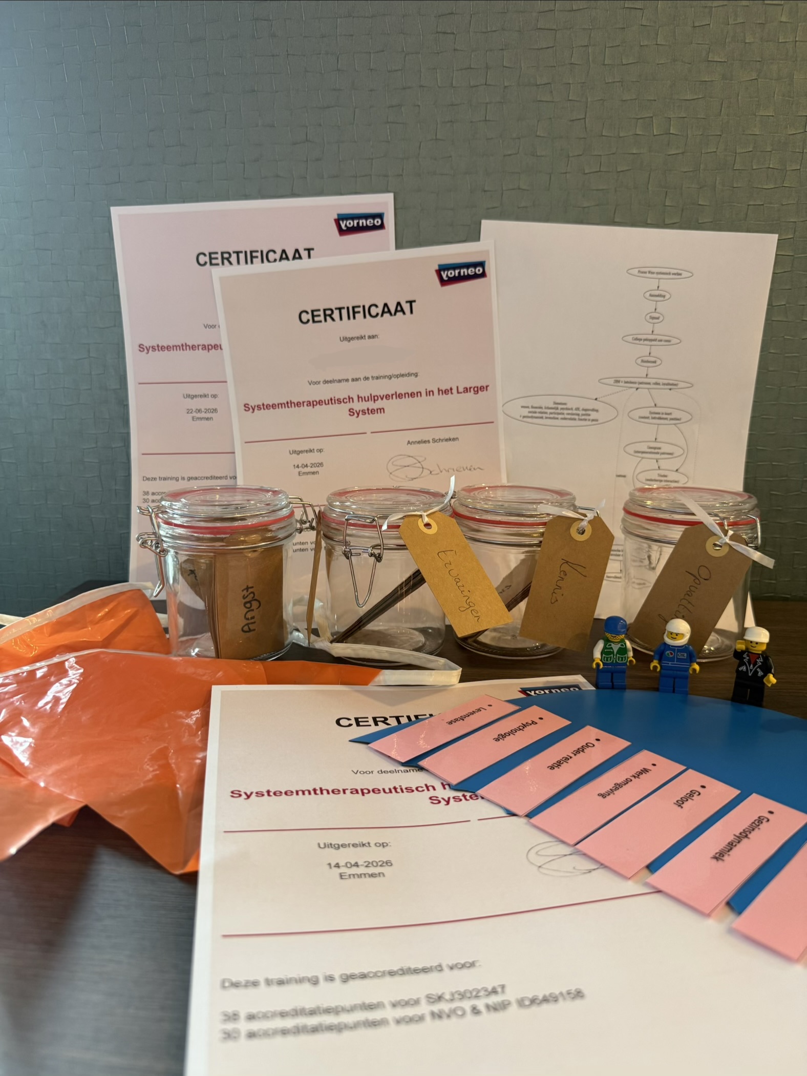 Eerste collega’s ontvangen certificaat Systemisch Werken